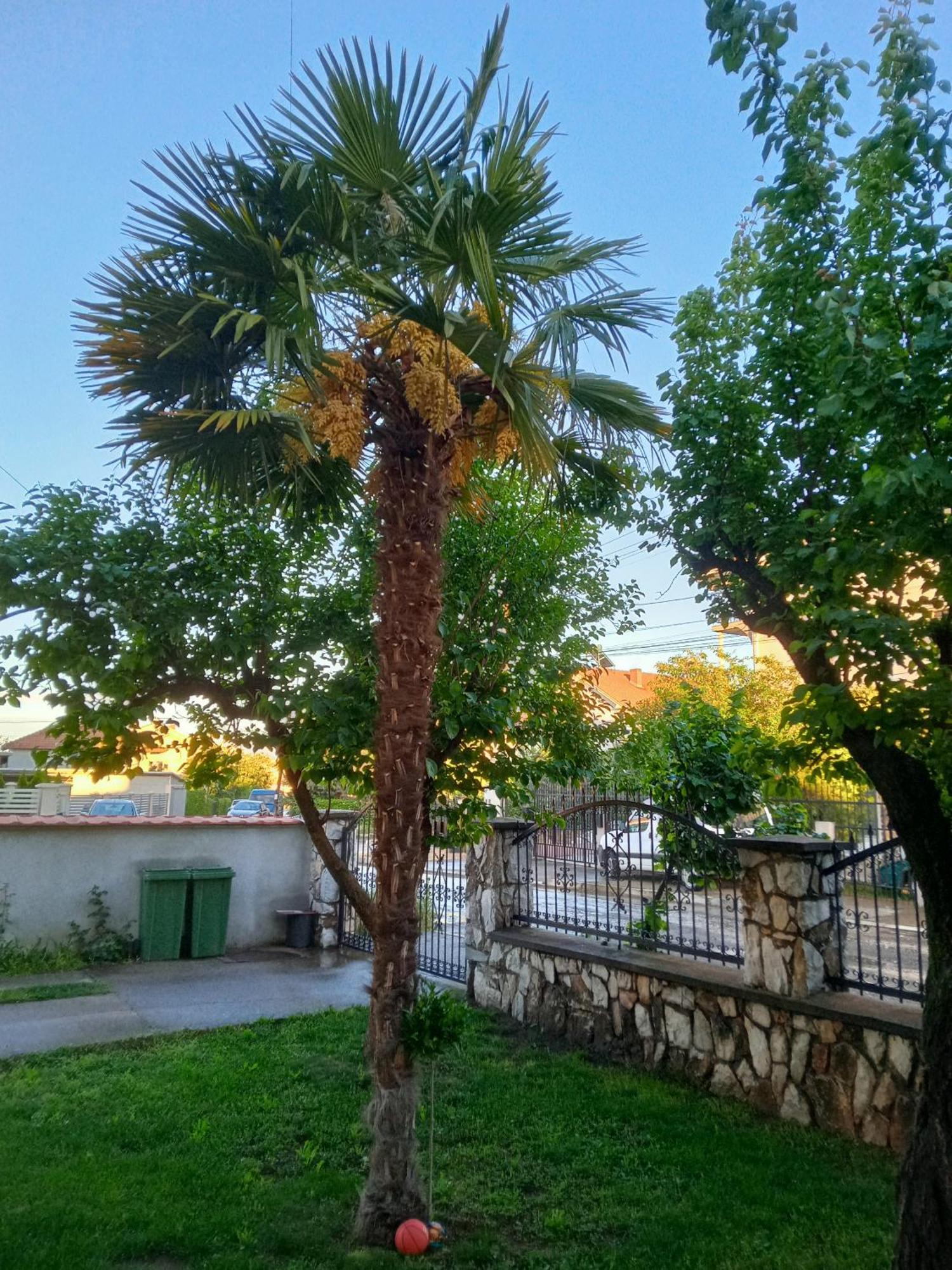 Apartman Zafirovi Gevgelija Exteriér fotografie